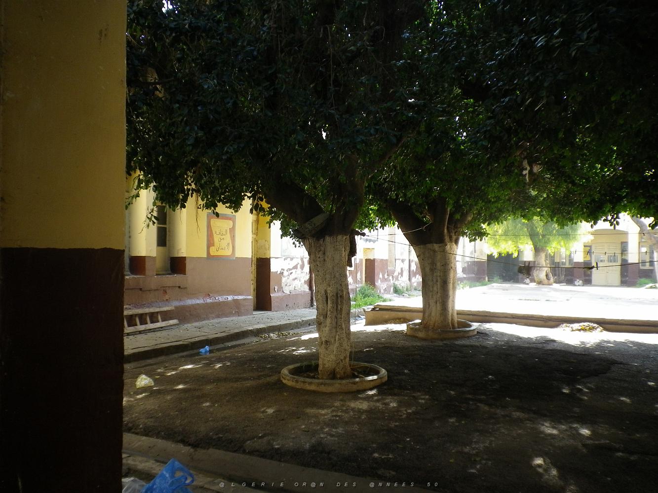 1277 ecole fille pasteur .JPG